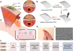 Kirigami-Inspired Pressure Sensors for Wearable Dynamic Cardiovascular Monitoring